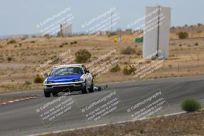 media/May-03-2025-Lucky Dog Racing (Sat) [[206de64b9d]]/Turn 6 (150pm-230pm)/